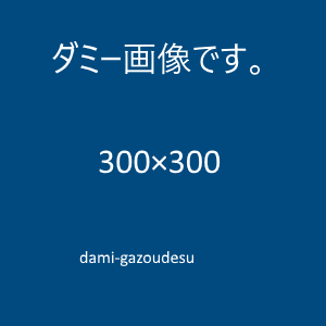 見本300pxの正方形