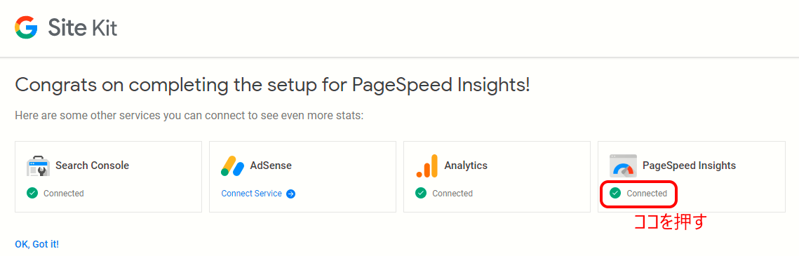 PageSpeed Insightsと紐づけセットアップ